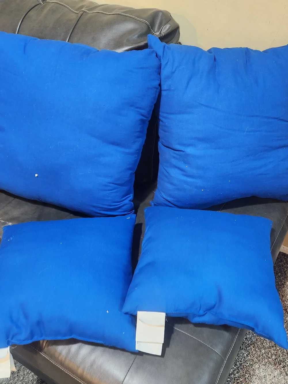 Vintage Northwest Kentucky WildCats Pillow Set 22×22 & 14×14 Size